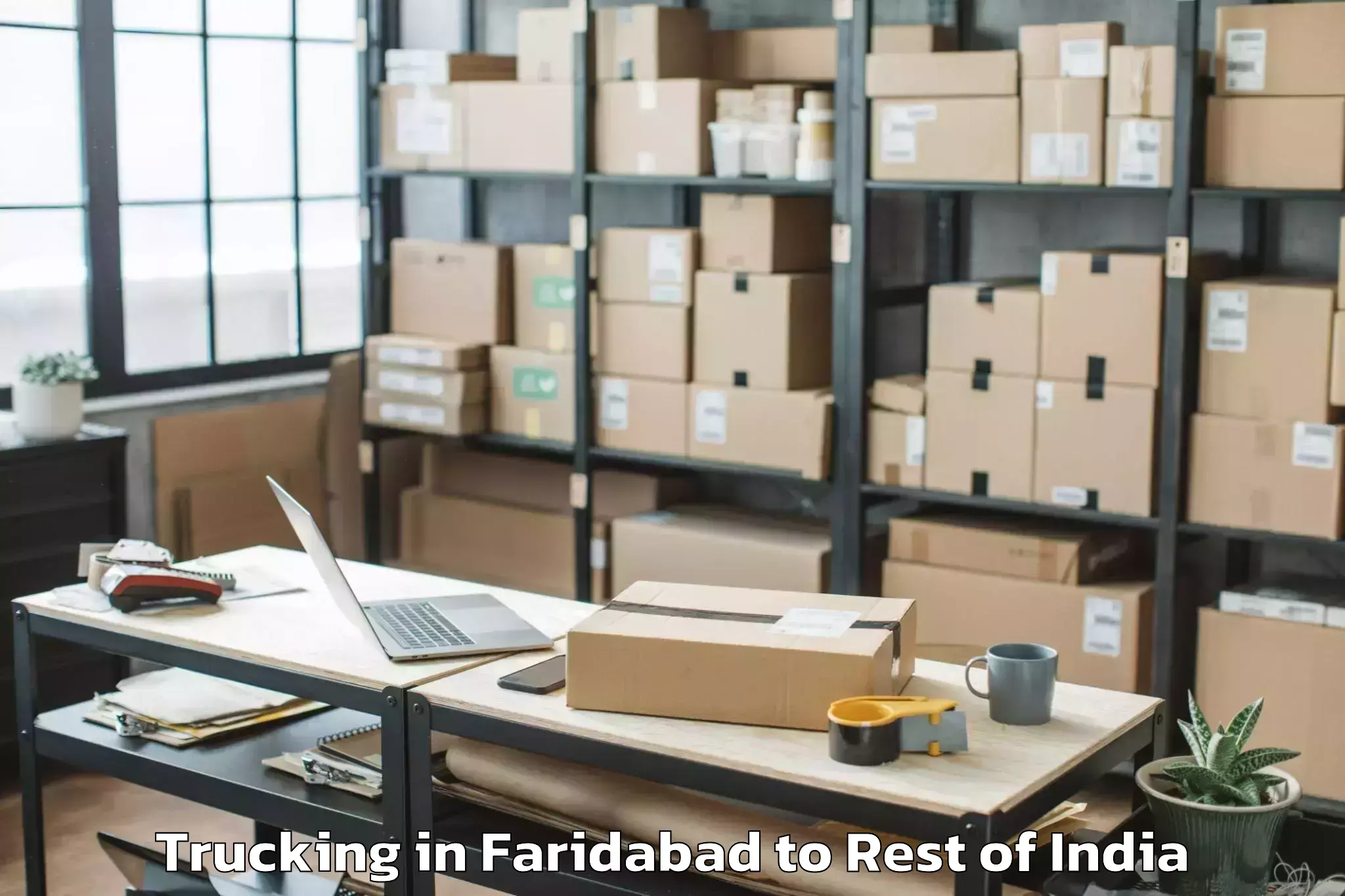 Trusted Faridabad to Darhal Trucking